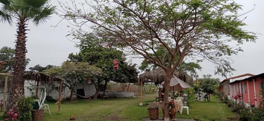 La Vina De Oscar Guest House Nuevo Imperial Ngoại thất bức ảnh