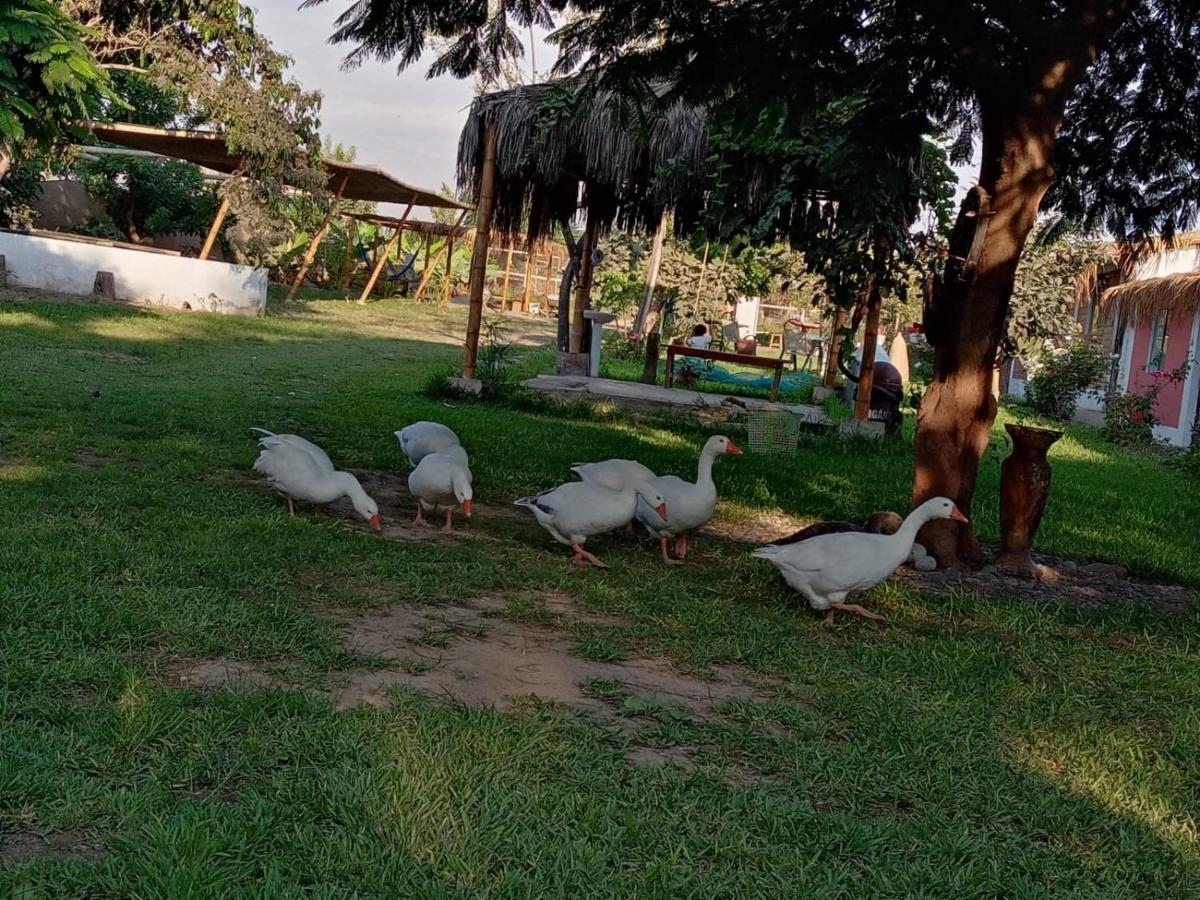 La Vina De Oscar Guest House Nuevo Imperial Ngoại thất bức ảnh
