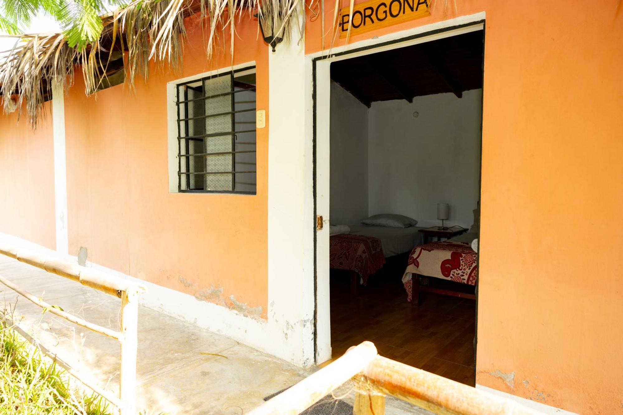 La Vina De Oscar Guest House Nuevo Imperial Ngoại thất bức ảnh