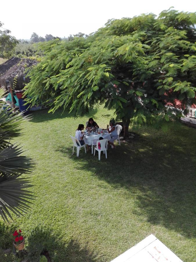 La Vina De Oscar Guest House Nuevo Imperial Ngoại thất bức ảnh